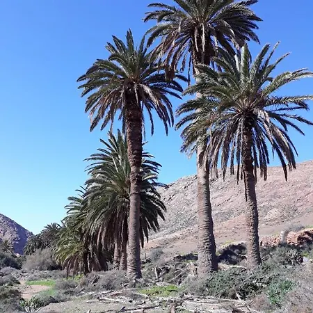La Pradera *